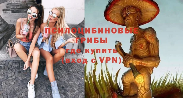 mix Гусиноозёрск