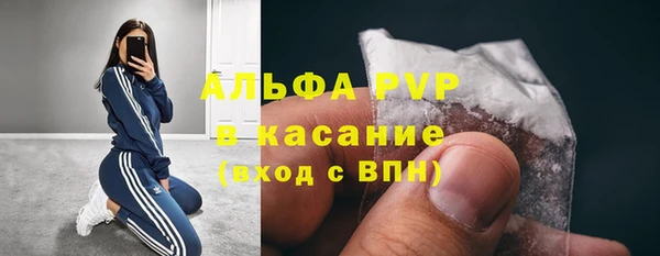 эйфоретик Гусев