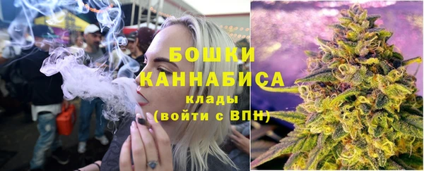 эйфоретик Гусев
