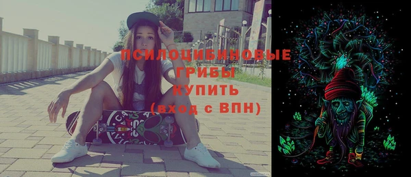 mix Гусиноозёрск