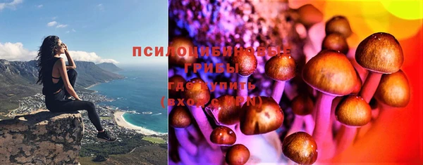 эйфоретик Гусев