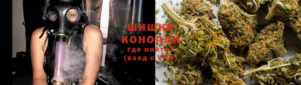 эйфоретик Гусев